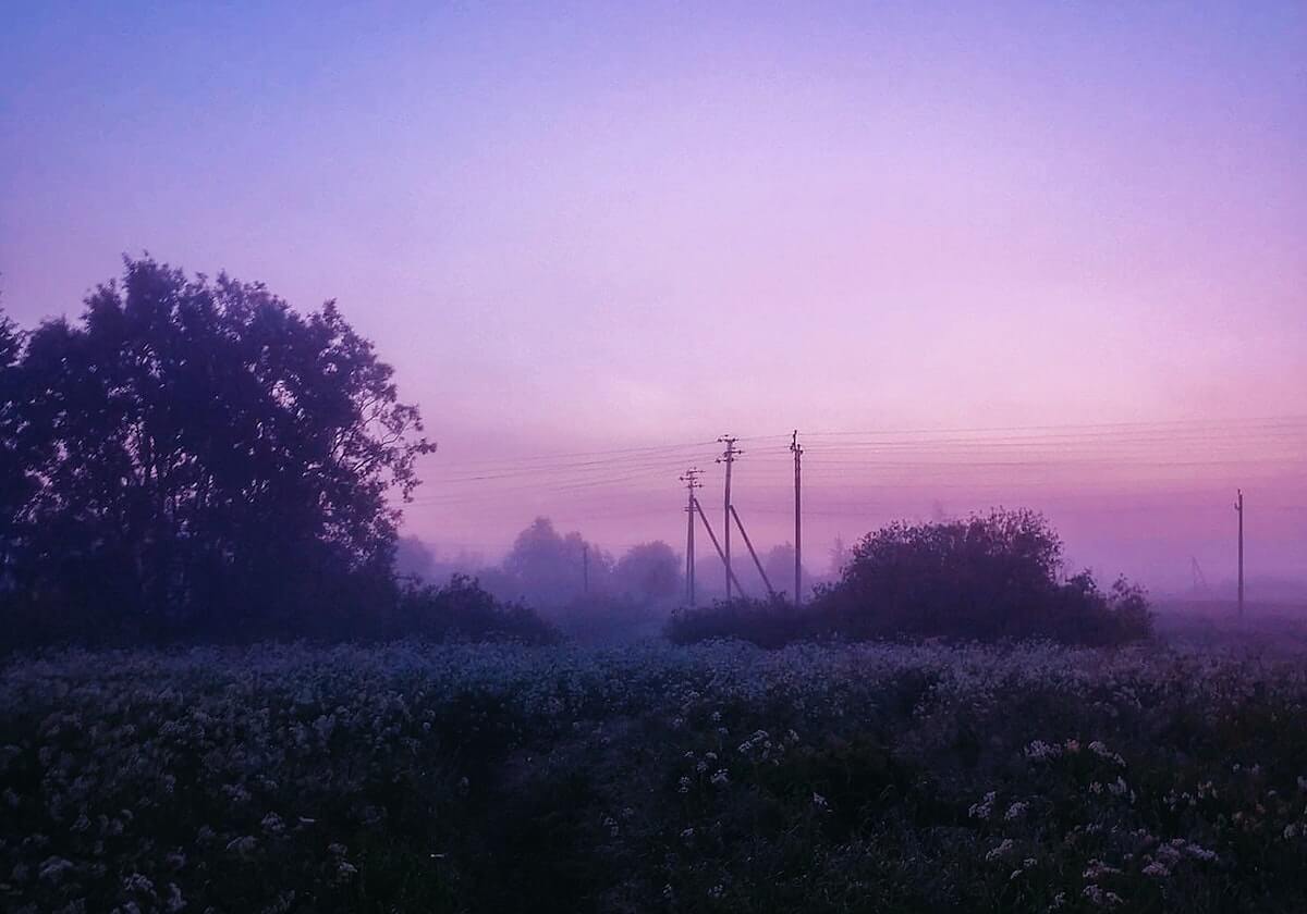 菠萝视频边下边播入门要点