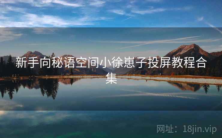 新手向秘语空间小徐崽子投屏教程合集