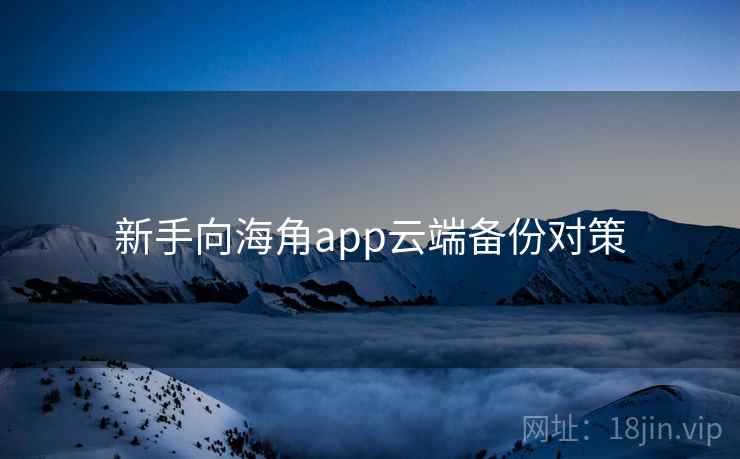 新手向海角app云端备份对策