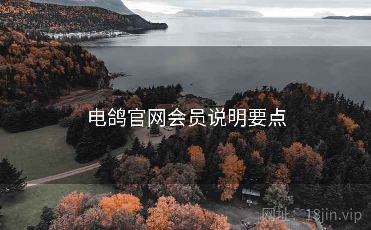 电鸽官网会员说明要点