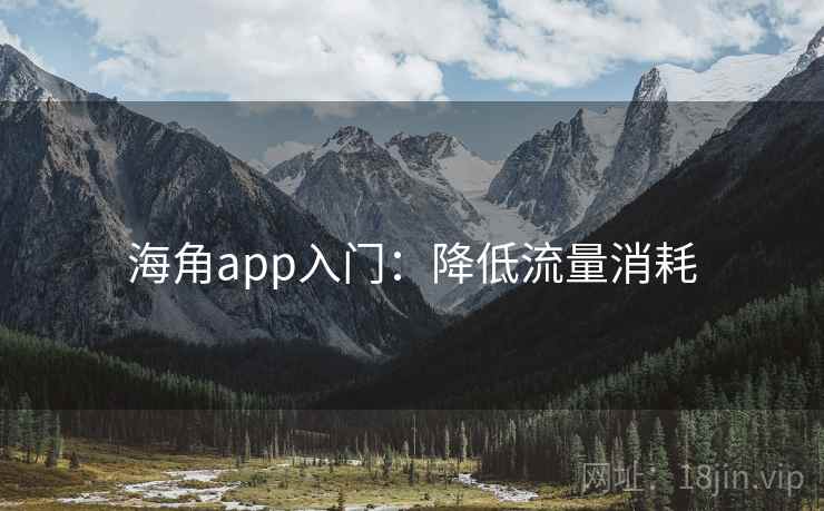海角app入门：降低流量消耗