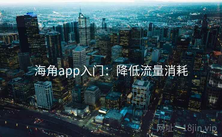 海角app入门：降低流量消耗