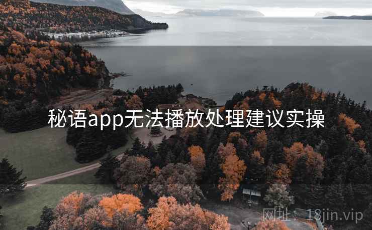 秘语app无法播放处理建议实操
