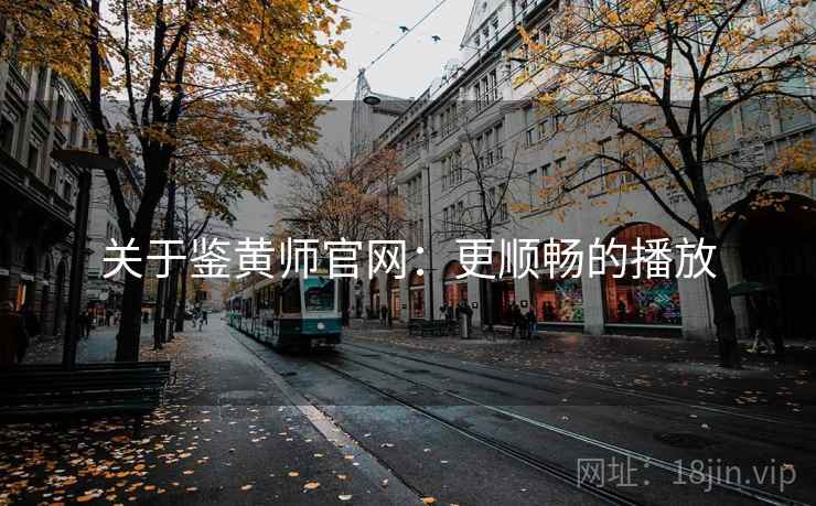 关于鉴黄师官网：更顺畅的播放
